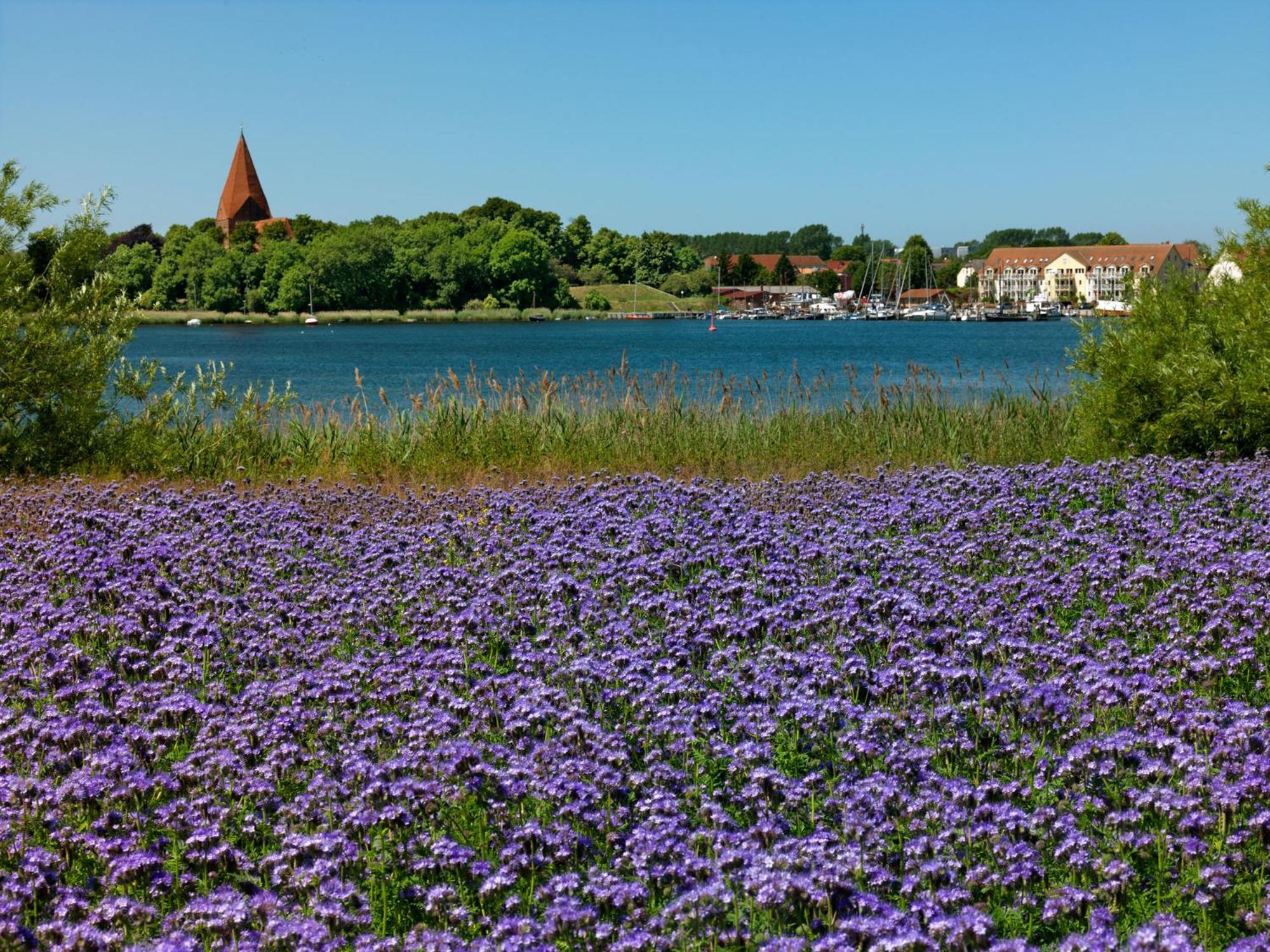 Einhusen Gute Stube Insel Poel Exterior foto