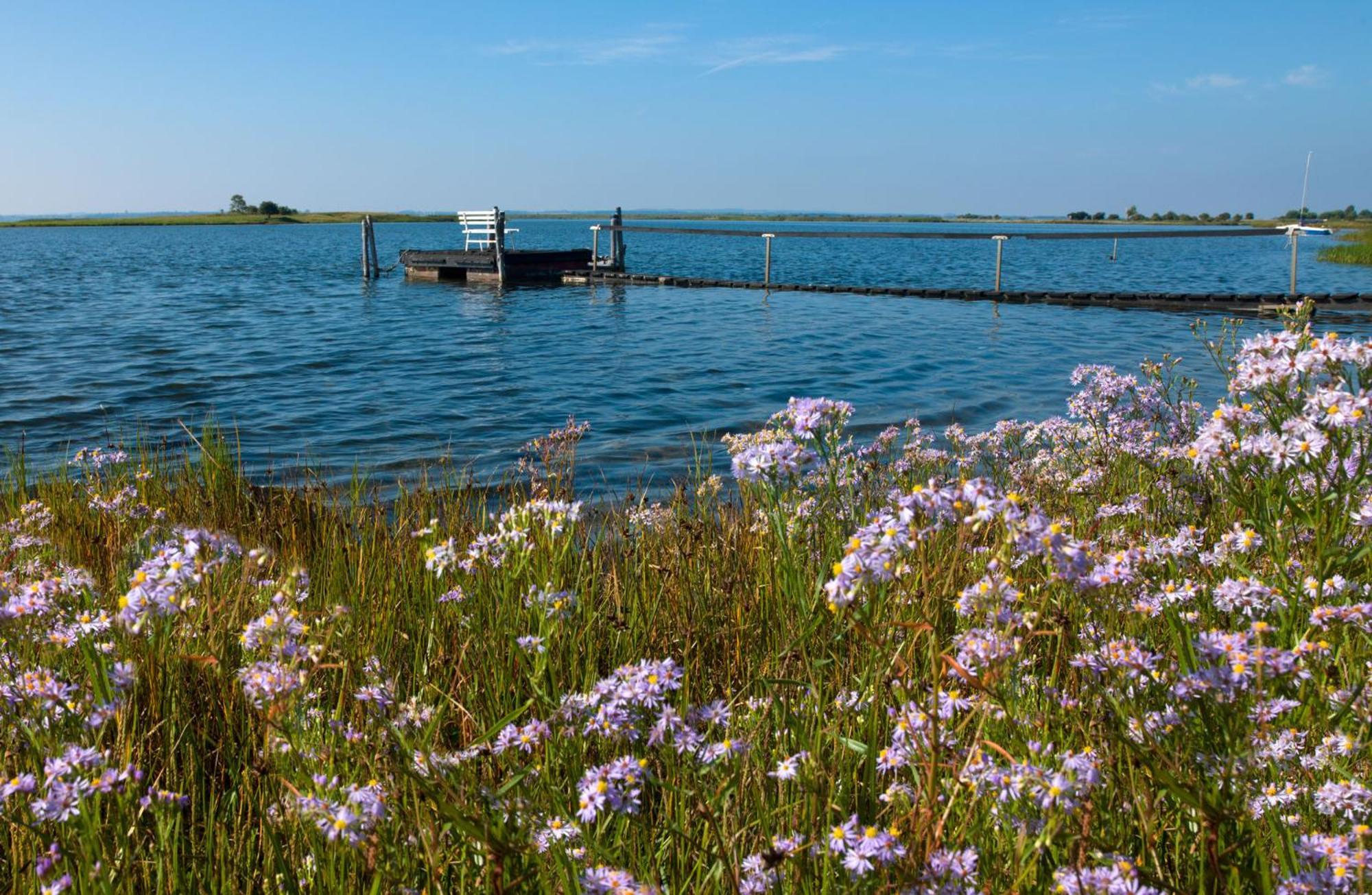 Einhusen Gute Stube Insel Poel Exterior foto